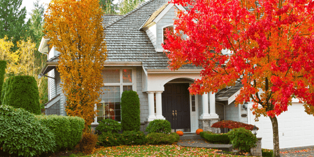 6 Top Home Design Trends for Fall 2022